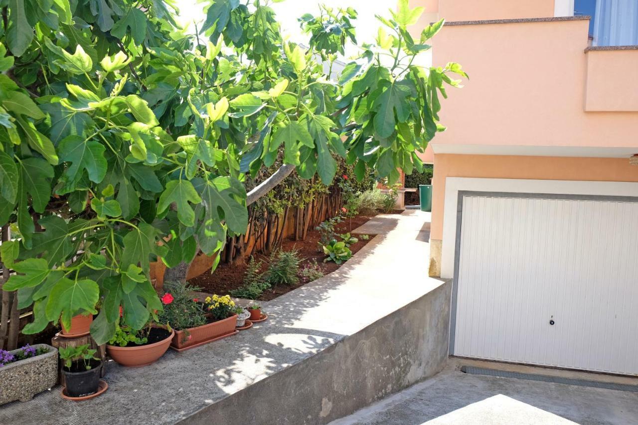 Apartmani Stipe Zara Esterno foto